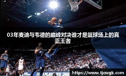 03年麦迪与韦德的巅峰对决谁才是篮球场上的真正王者