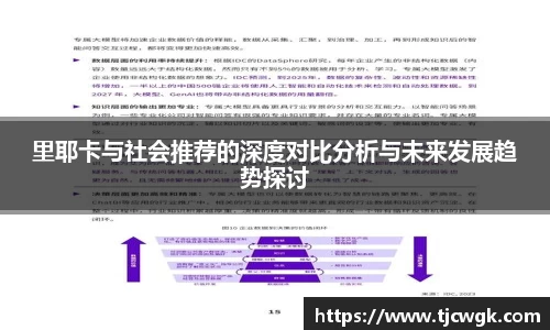 里耶卡与社会推荐的深度对比分析与未来发展趋势探讨