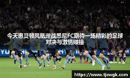 今天惠灵顿凤凰迎战悉尼FC期待一场精彩的足球对决与激情碰撞