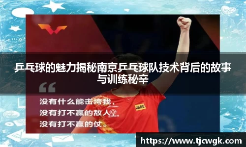 乒乓球的魅力揭秘南京乒乓球队技术背后的故事与训练秘辛